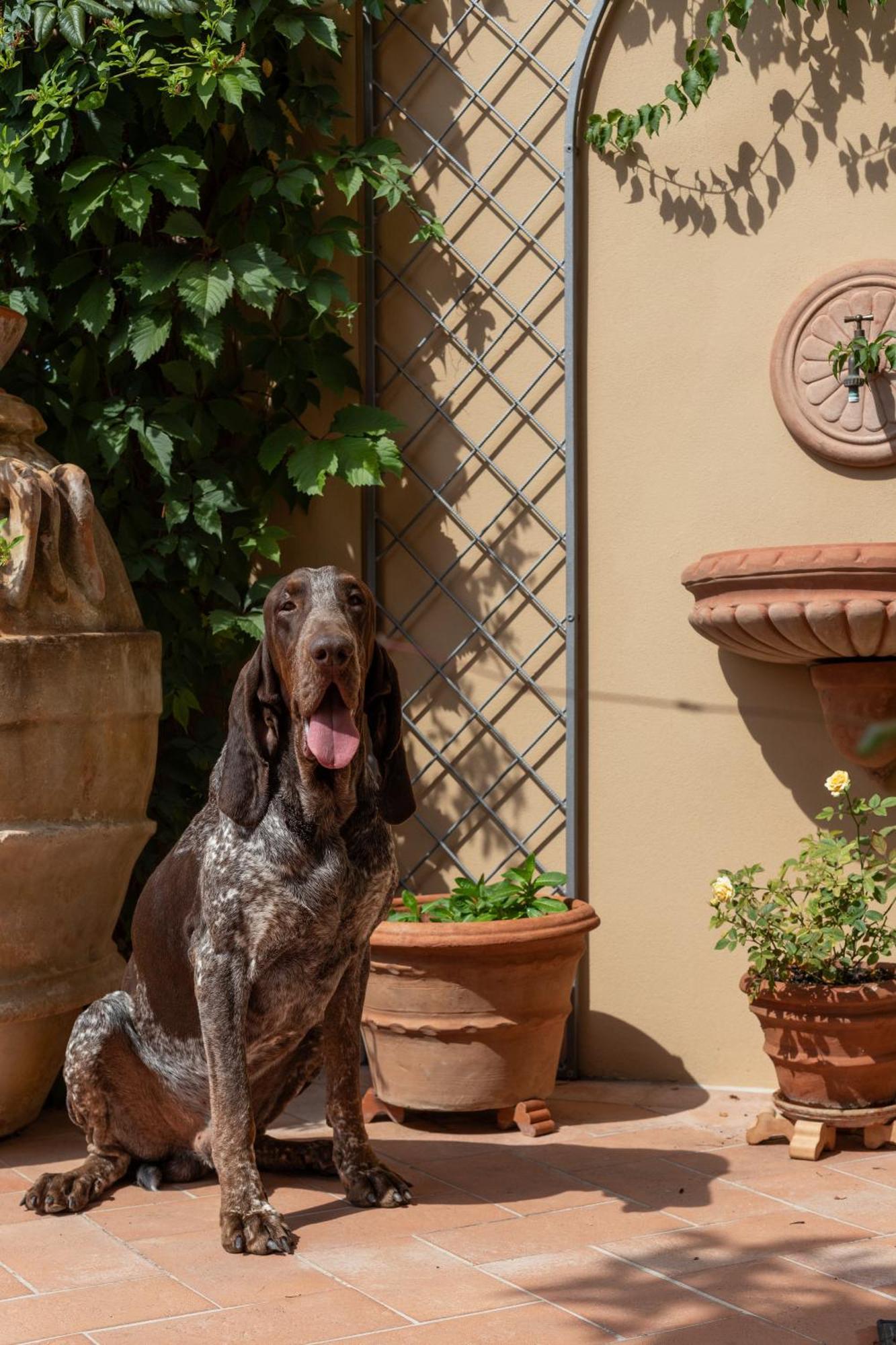 Al Castello di Lari Bed and Breakfast Esterno foto